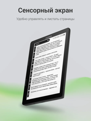 Купить Электронная книга  Digma F4 5.83 черный-4.png